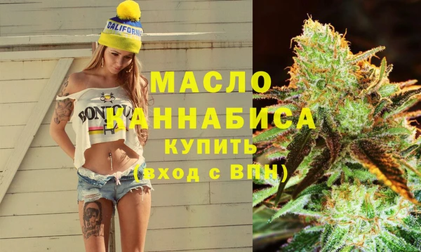 молекула духа Новодвинск