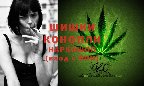 молекула духа Новодвинск