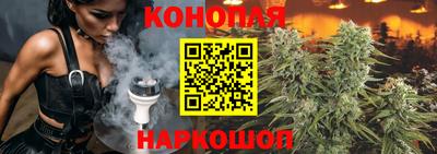 ГАЛЛЮЦИНОГЕННЫЕ ГРИБЫ Кинель