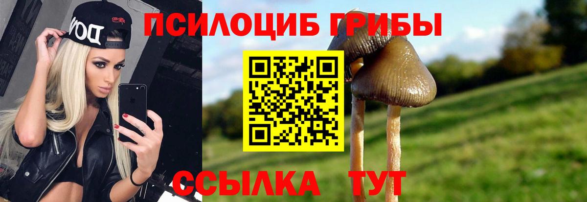 Галлюциногенные грибы мухоморы  Псилоцибиновые грибы прущие грибы  Вход с VPN  Павлово 